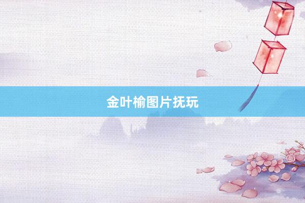 金叶榆图片抚玩