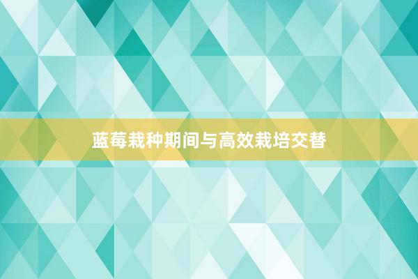 蓝莓栽种期间与高效栽培交替
