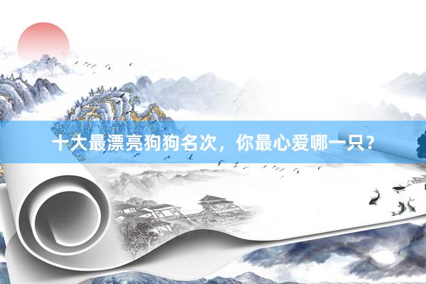 十大最漂亮狗狗名次，你最心爱哪一只？